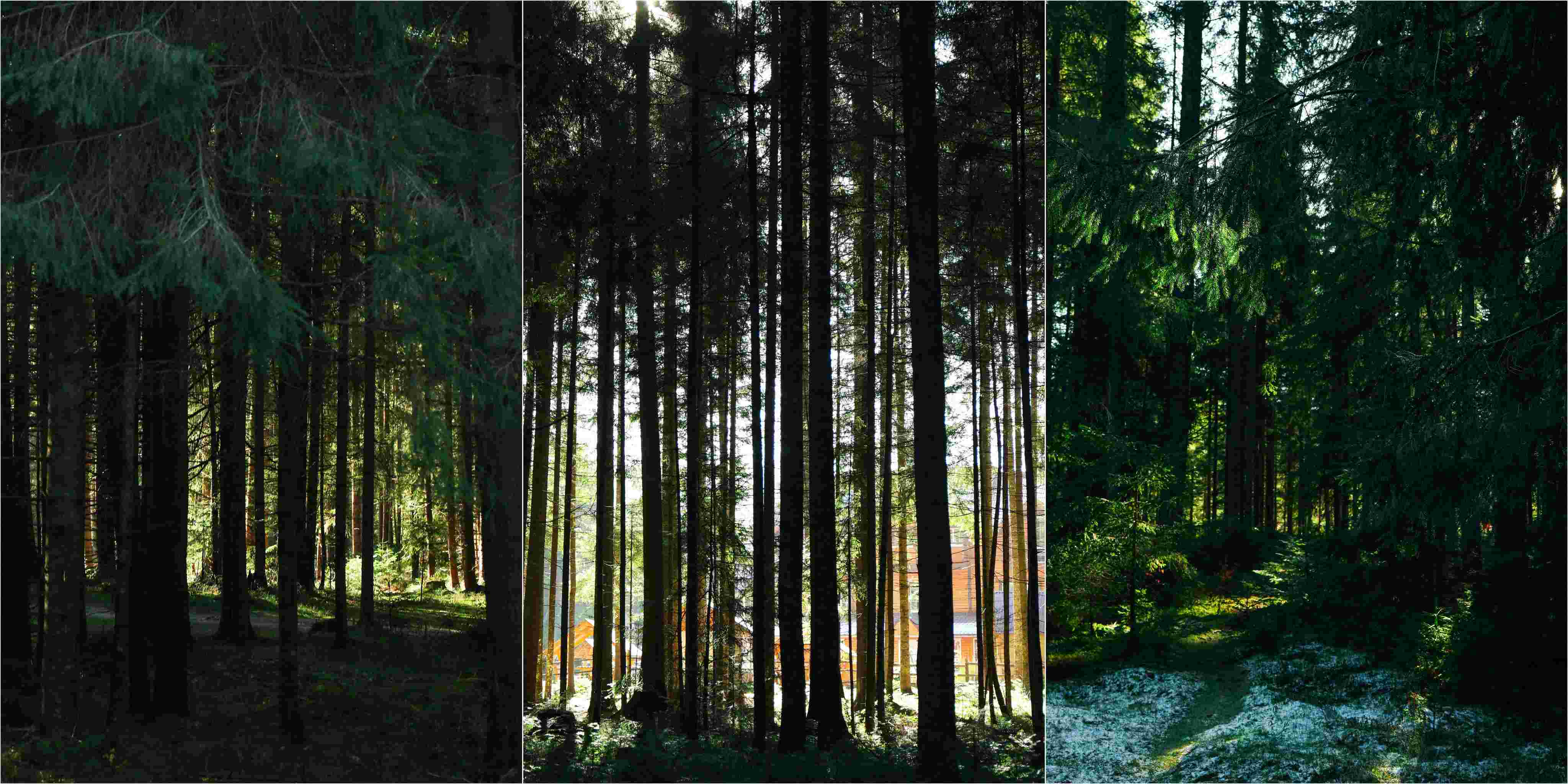 5 Mistakes We See in Subcontractor Risk Scoring (and How to Avoid Them)