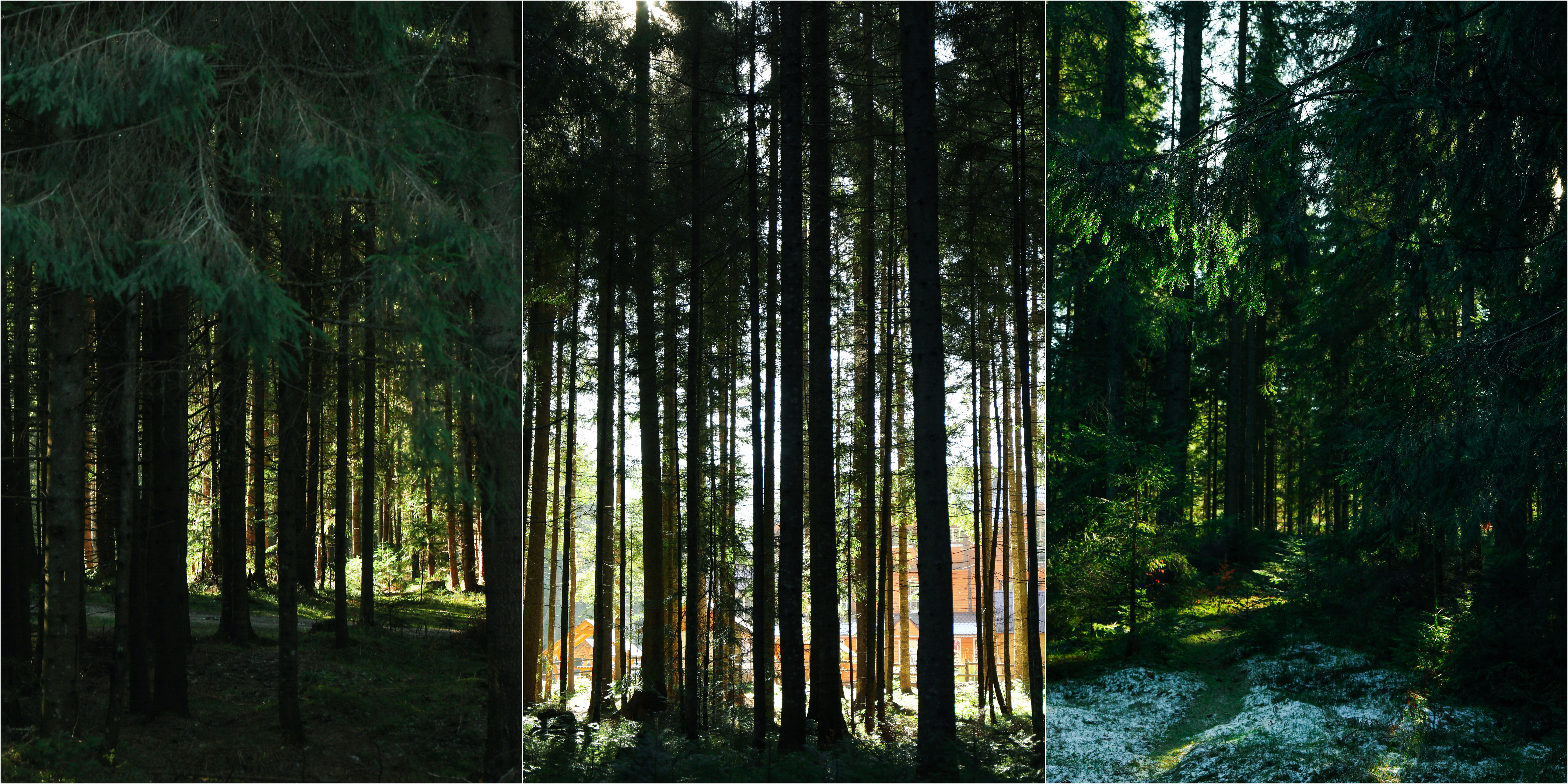 5 Mistakes We See in Subcontractor Risk Scoring (and How to Avoid Them)